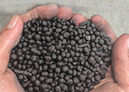 Compost fertilizer pellets made by SEEC granulator